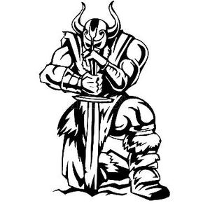 Viking Warrior