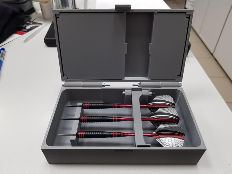 Darts case