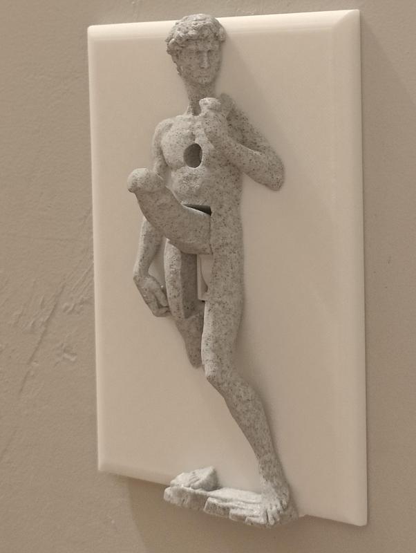 David's Penis Light Switch Cap