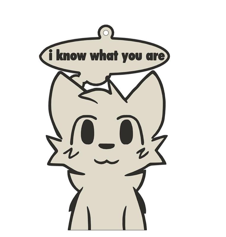 Boykisser cat I know what you are