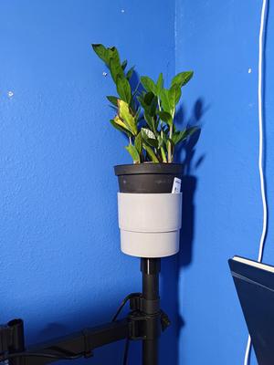 Desk Plan Mount - Monitor Arm pot mount