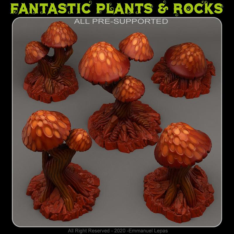 GIANT MUSHROOMS