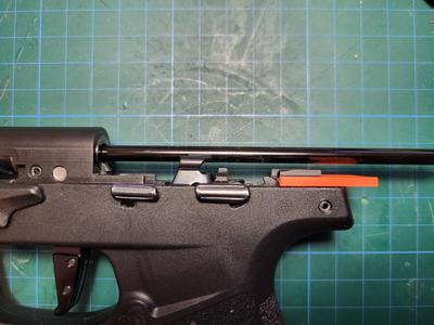 SIG P322 Hammer hold-down