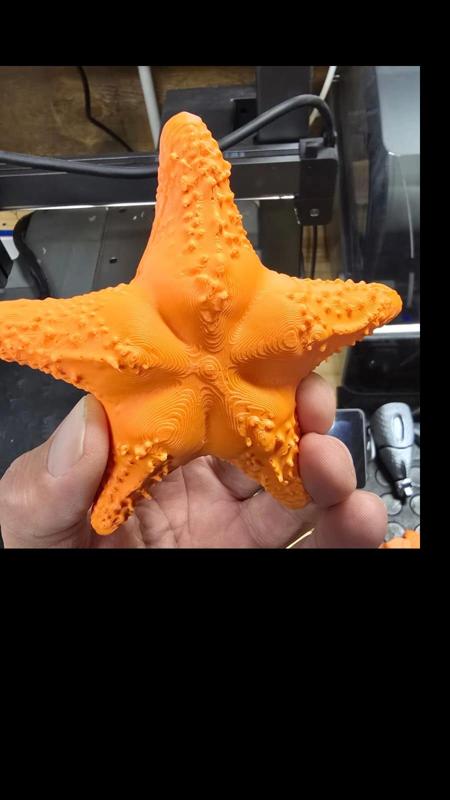 CONICET Star