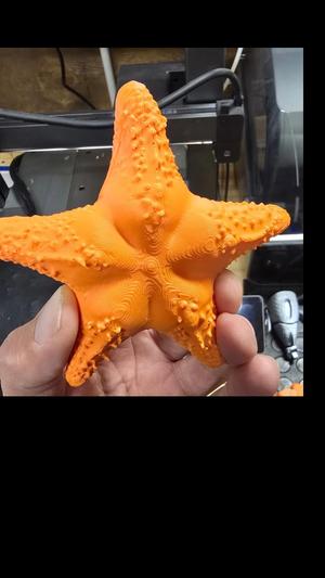 CONICET Star