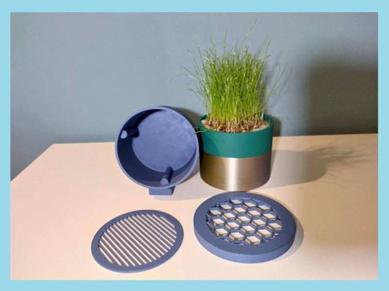 cat grass planter