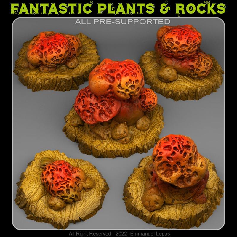WORMHOLE MUSHROOMS