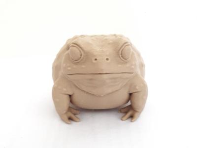 Chonky Toad