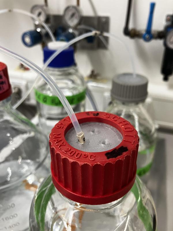 GL45 Schott Bottle Inlet for HPLC Tubing