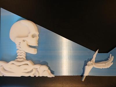 Skeleton Art