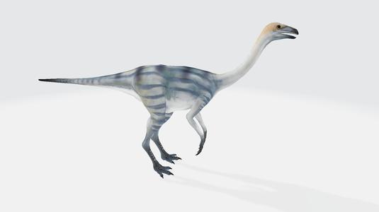 Ornithomimus