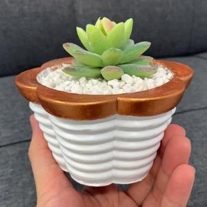 Smooth Geometric Pot Mold