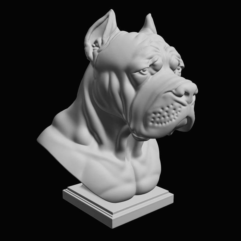 Bust of a Cane Corso