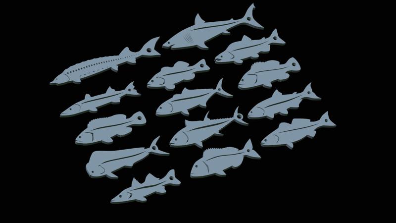 14x sea / ocean set of fish pendants / keychains