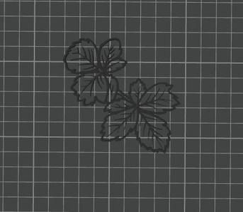 NATURE PICTOGRAM