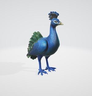 Peacock