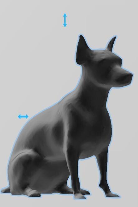 pinscher