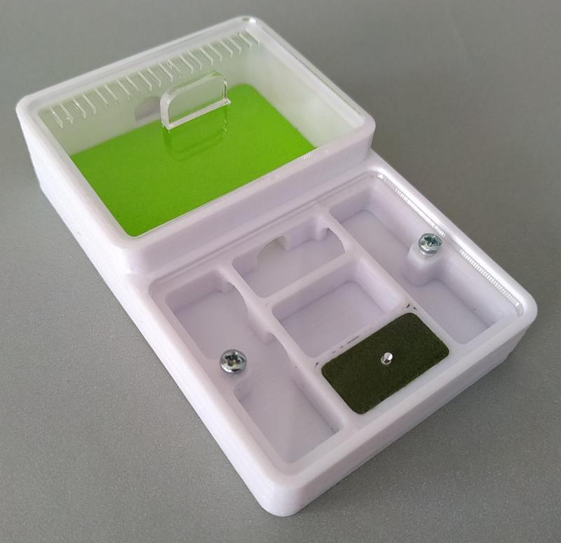 Queen Ant Card (4ants)