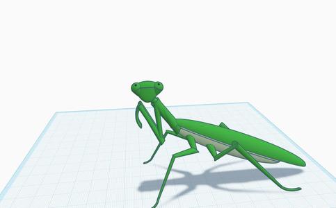 Praying Mantis