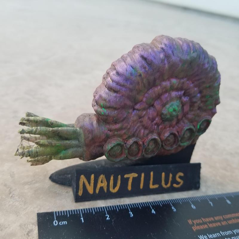 Nautilus Class Organic Starship