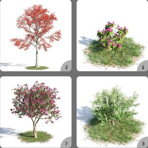 Plants collection 3D model