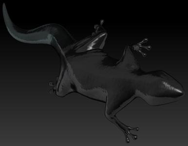 Shadow of the Colossus  White-tailed Lizard