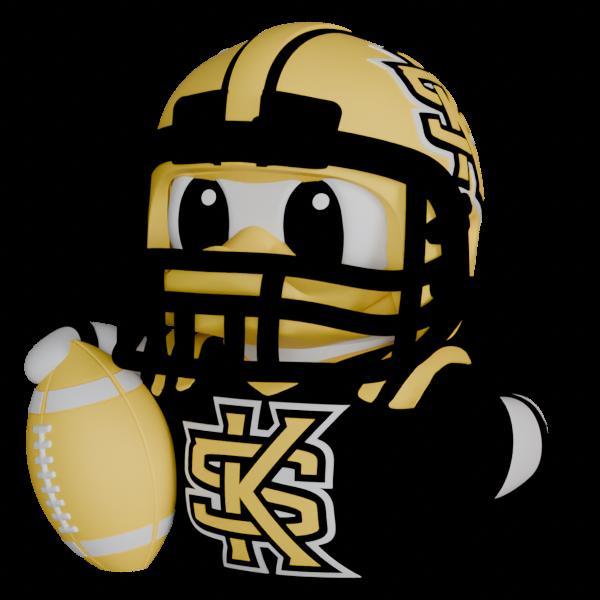 Kennesaw State Owls