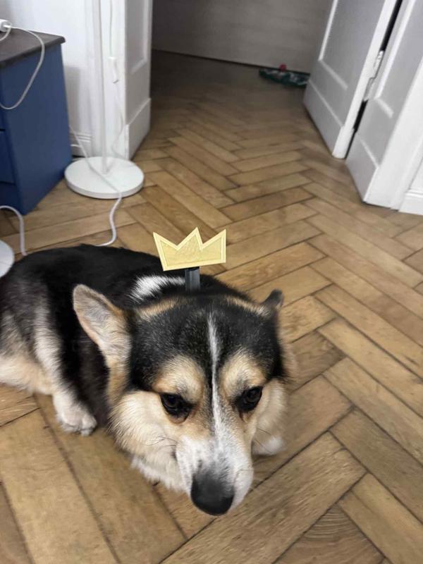 the magic godfathers cosmos crown