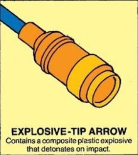 Hawkeye Set -  Explosive Tip Arrow