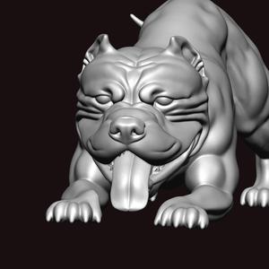 American bully angry pose