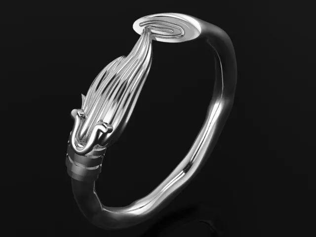 Curved broom ring 4936