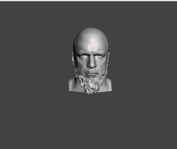 Custom LJN size WWE Triple H head