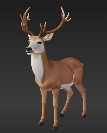 Wild Life Collection - Deer