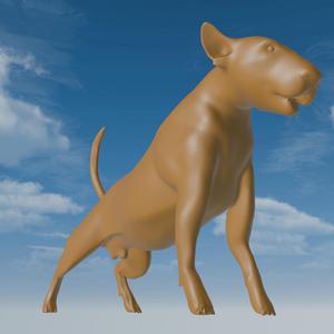 solid bull terrier