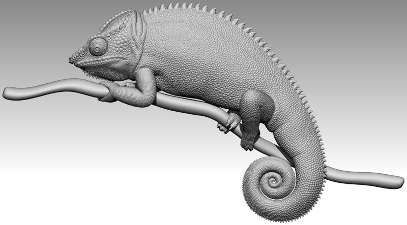 chameleon