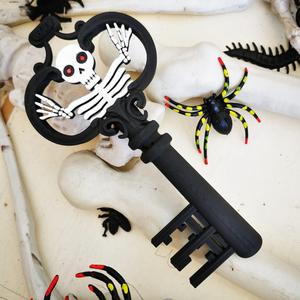 Skeleton key
