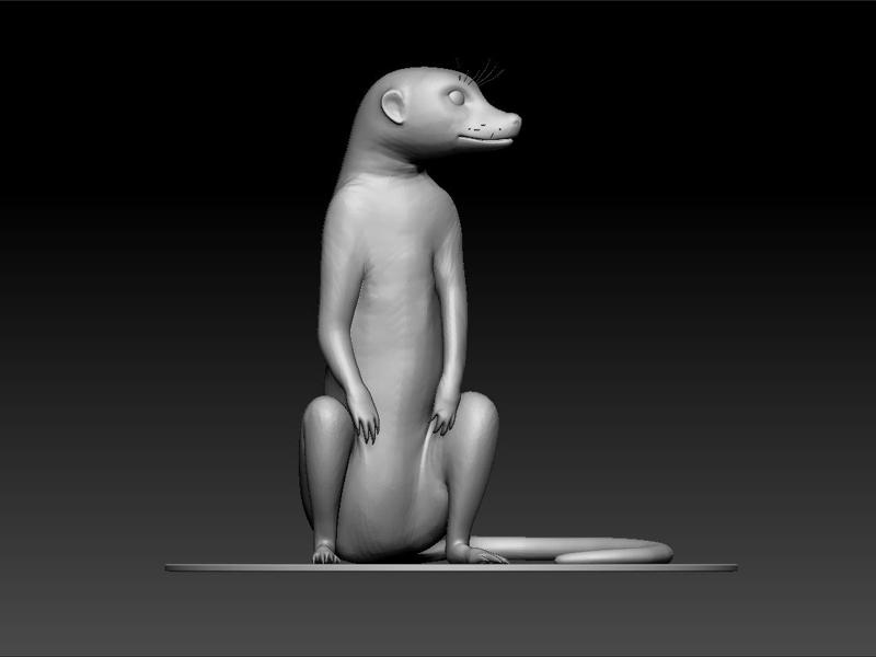 Meerkat