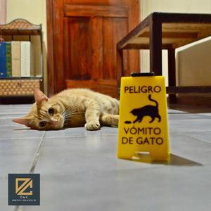 Mini sign - Danger, cat vomit