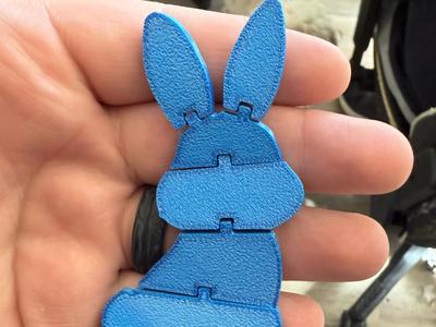 FlexiBunny