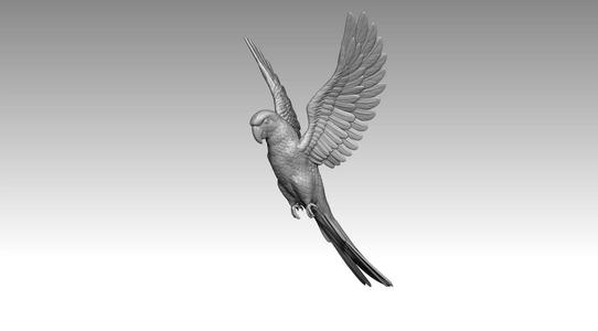 parrot