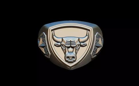 Chicago bulls ring