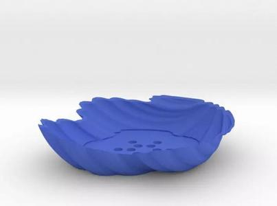 Shell Soap holder
