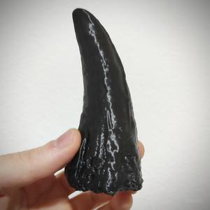 Albertosaurus Tooth - High Detail Replica