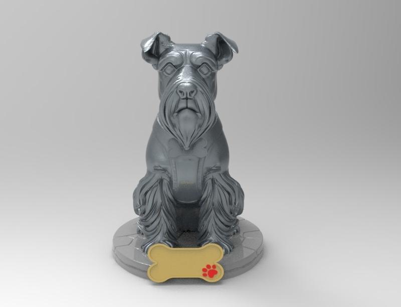 Schnauzer with Breastplate