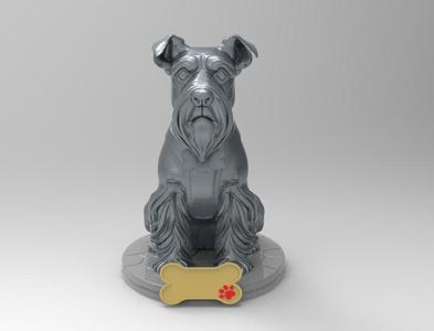 Schnauzer with Breastplate