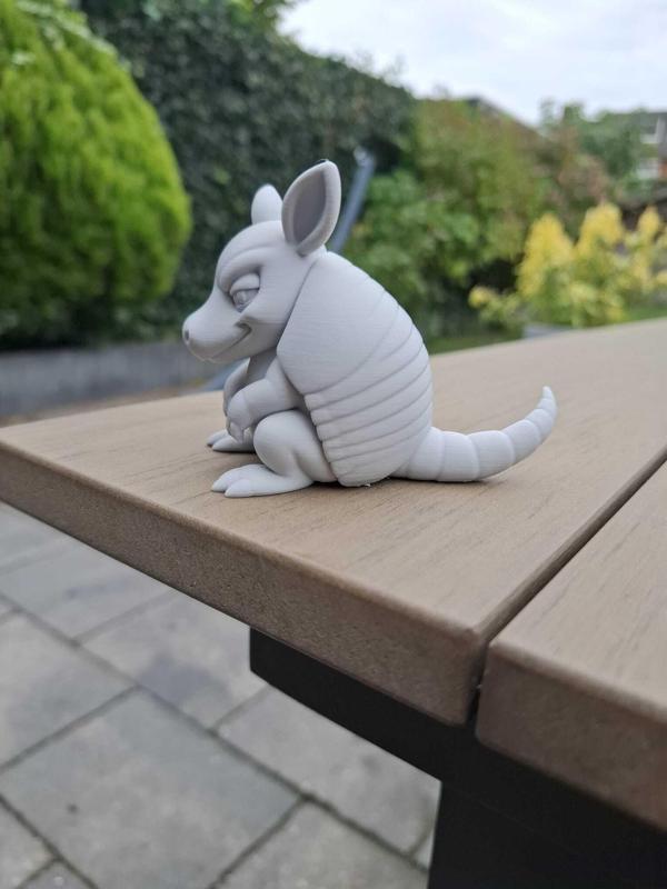 Cheeky Armadillo