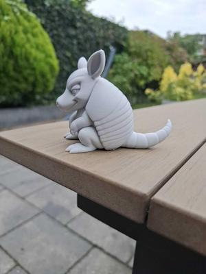Cheeky Armadillo