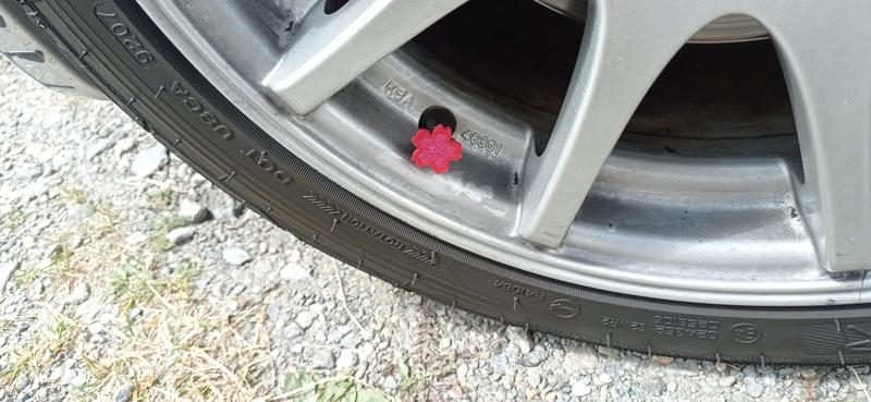 Sakura Flower Cherry Blossom Tyre Valve Stem Cap Car