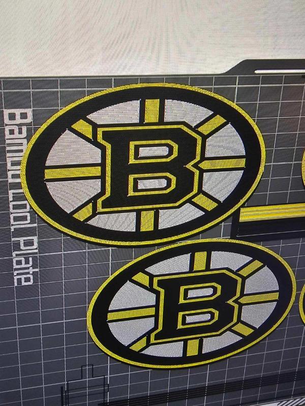 bruins coaster
