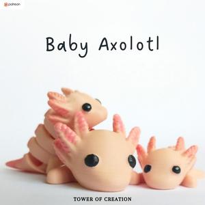 Baby Axolotl